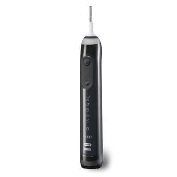 Braun 81574164