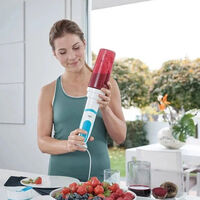 измельчитель BLEND & GO